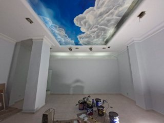 Pintor economico