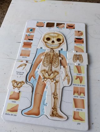 Puzzle Educa El Cuerpo Humano 4-7 años