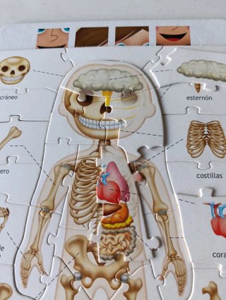Puzzle Educa El Cuerpo Humano 4-7 años