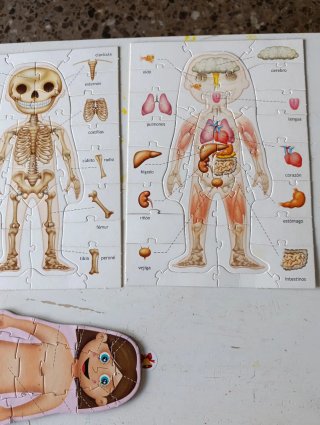 Puzzle Educa El Cuerpo Humano 4-7 años