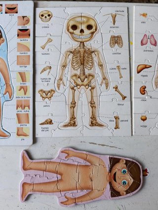 Puzzle Educa El Cuerpo Humano 4-7 años