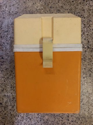 NEVERA PORTÁTIL VINTAGE DE PLÁSTICO