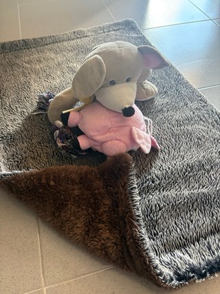 Cama para perro y juguetes