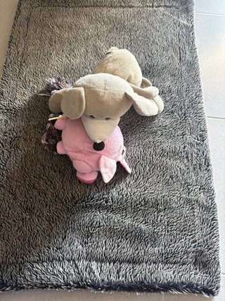 Cama para perro y juguetes