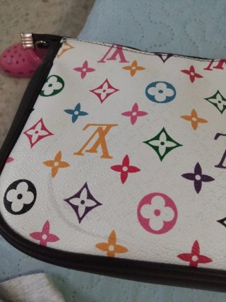 Bolso Louis Vuitton Multicolor