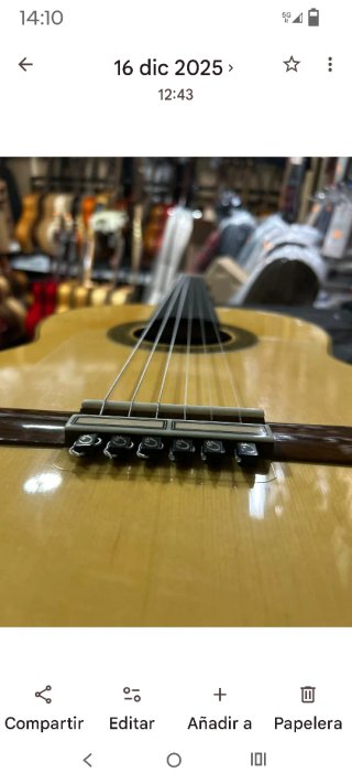 Guitarra Esteban Ejido Luthier