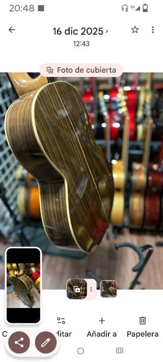 Guitarra Esteban Ejido Luthier