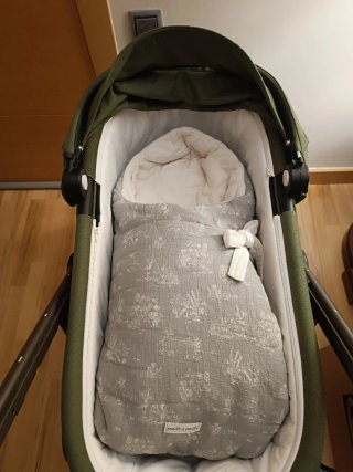 Capazo Cybex Gazelle S Verde + protector de lluvia