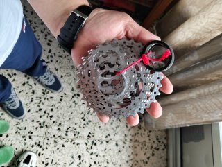 Piñón de bicicleta