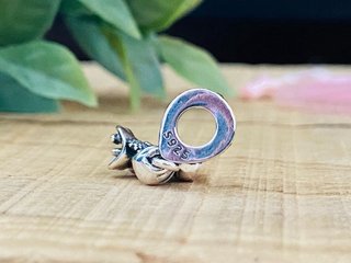 Charm Novios Boda Matrimonio - Plata