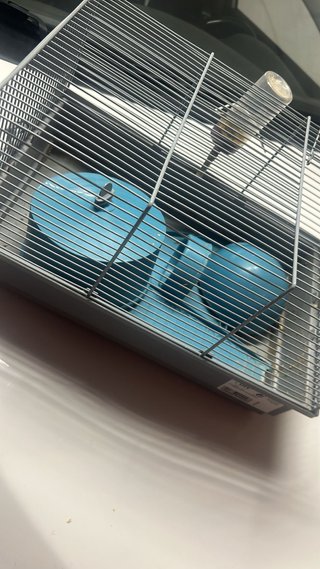 Jaula hámster azul y gris