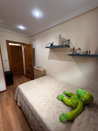Piso en Rioturbio, Mieres