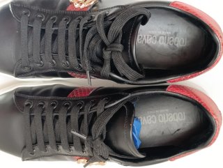 Zapatillas Roberto Cavalli