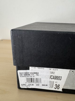 Tronchetti Studio Pollini tacco 8 cm - Tg 36