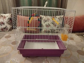 Jaula para pájaros