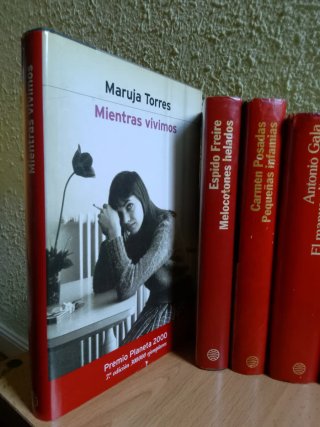 Lote libros novelas Premio Planeta (Cela, Gala...)