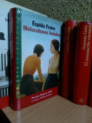 Lote libros novelas Premio Planeta (Cela, Gala...)