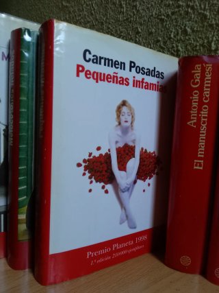 Lote libros novelas Premio Planeta (Cela, Gala...)