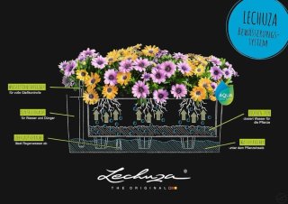 Jarnidera Lechuza Color 50 - Balconera, 19 x 50 cm