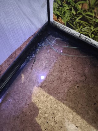 Acuario roto, garantia wallapop inexistente.