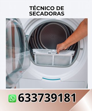 Técnico de secadoras