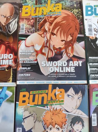Lote revistas anime