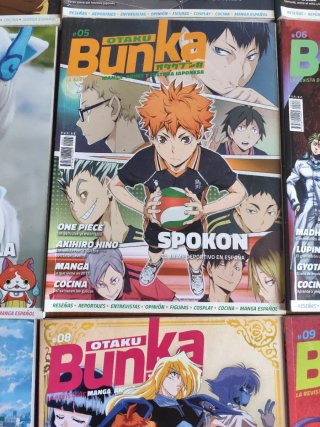 Lote revistas anime