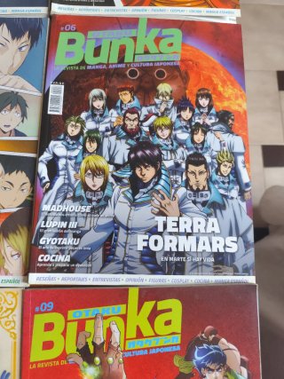 Lote revistas anime