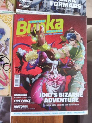 Lote revistas anime