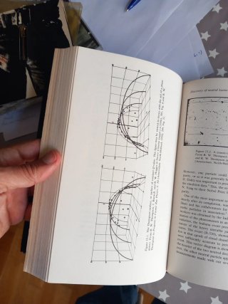 The Birth of Particle Physics