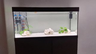 Acuario Eheim 180l con mueble