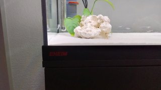 Acuario Eheim 180l con mueble