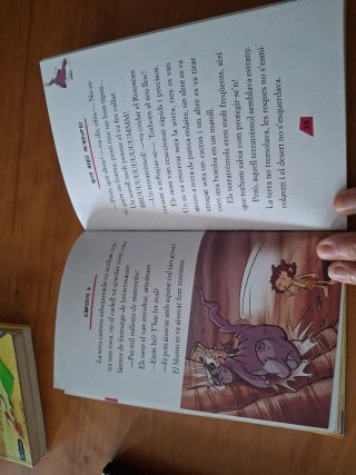 Amics per força
