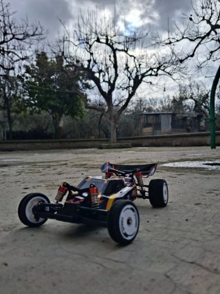 Coche RC Wltoys 1/24