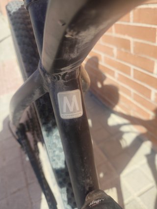 Orbea Alma H50