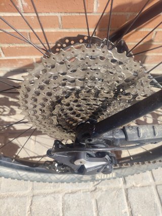 Orbea Alma H50