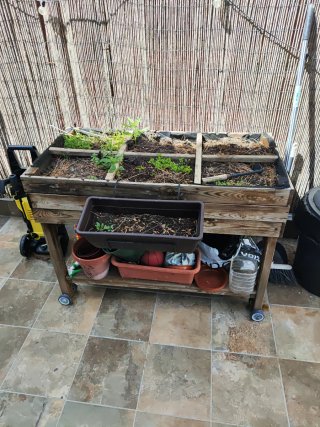 Mesa de cultivo paterre huerto