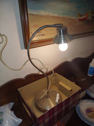 Flexo de mesa inoxidable