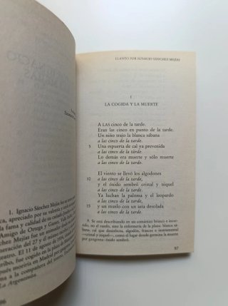 Federico García Lorca.