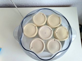 Yogurtera Moulinex