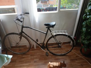 Bicicleta Gazelle Clásica