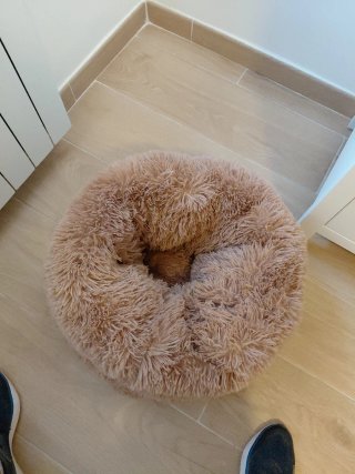 Cama nido para perro/gato suave