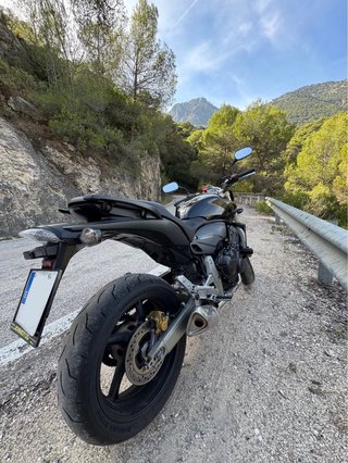 Honda CB600F Hornet 2008 muy cuidada con 29.000km