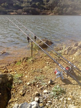 Cañas Virux Strike 12' 3.5lb