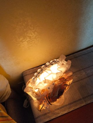 Coppia lampade borsa nuove