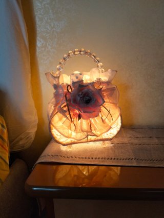 Coppia lampade borsa nuove