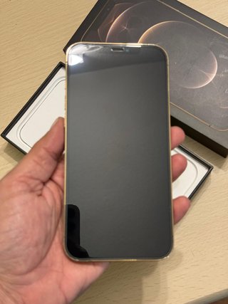 iPhone 12 Pro Max Batería 100%