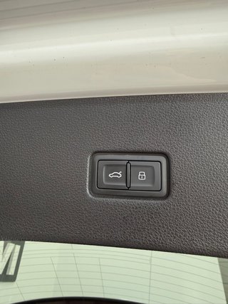 Audi Q8 2020