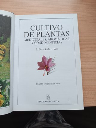 Cultivo de plantas medicinales, aromáticas y condi