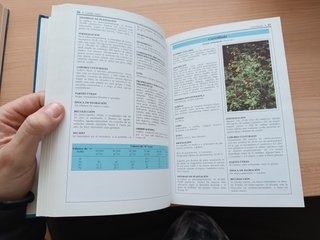 Cultivo de plantas medicinales, aromáticas y condi